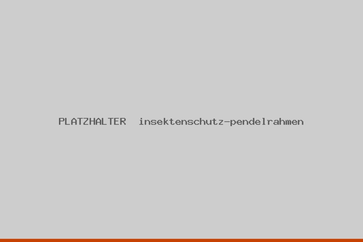 Insektenschutz-Pendelrahmen an einer häufig genutzten Tür in Würzburg.