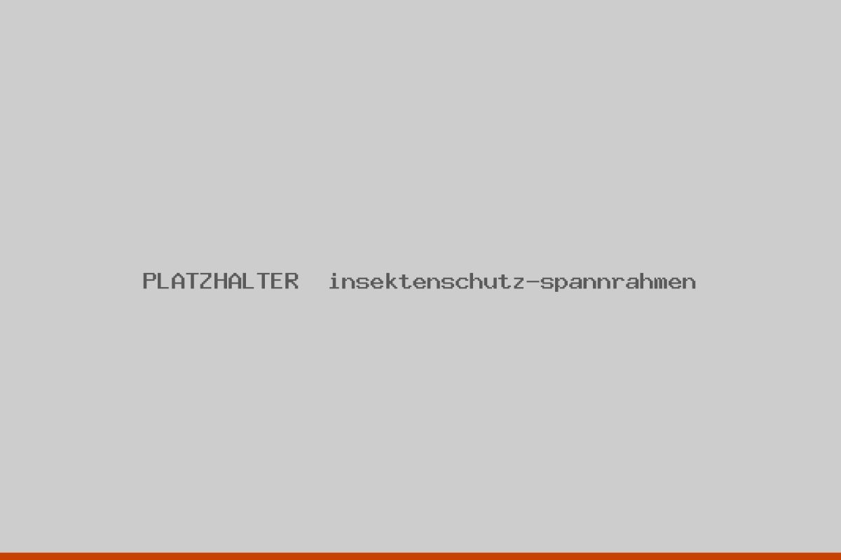Insektenschutz-Spannrahmen an einem Fassadenfenster in Würzburg.